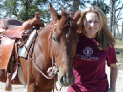 amandahorse.jpg